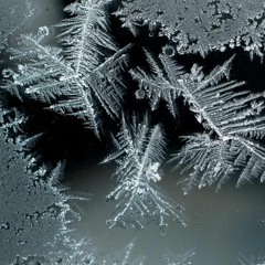 R.Fx - Winter