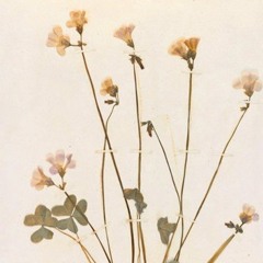 Seven Dickinson Songs