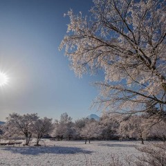 My Playlist December 2018