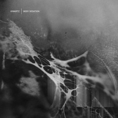 Kwartz - Altered States Of Consciousness