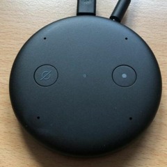 Review - Echo Input Alexa für Lautsprecher und Stereoanlagen im Test
