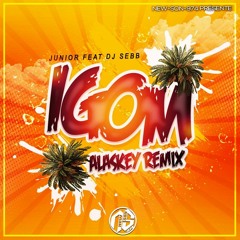 Junior - IGOM (Alaskey Remix)