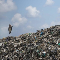 Gucci Gang Freestyle - Krispii Ft Feo Produced By Spiff