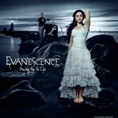 Evanescene - Bring Me To Life ( MeYDi Remix )