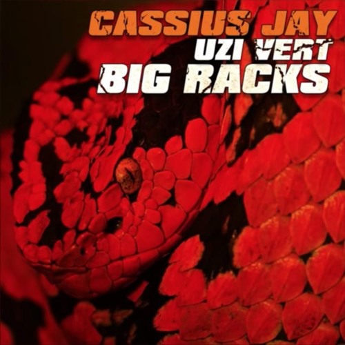 Cassius Jay Ft. Lil Uzi Vert - Big Racks