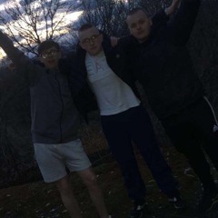 Levels (Hardstyle)