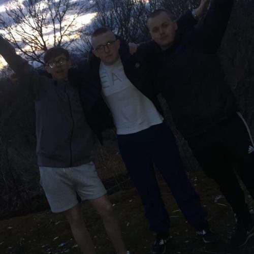 Levels (Hardstyle)
