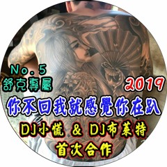 首次合作 - 2019 DJ小慌 ＆ DJ布萊特 - 你不回我就感覺你在趴《舒克專屬》No.5