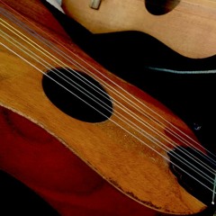 Fandango en Coatepec - El Ahualulco