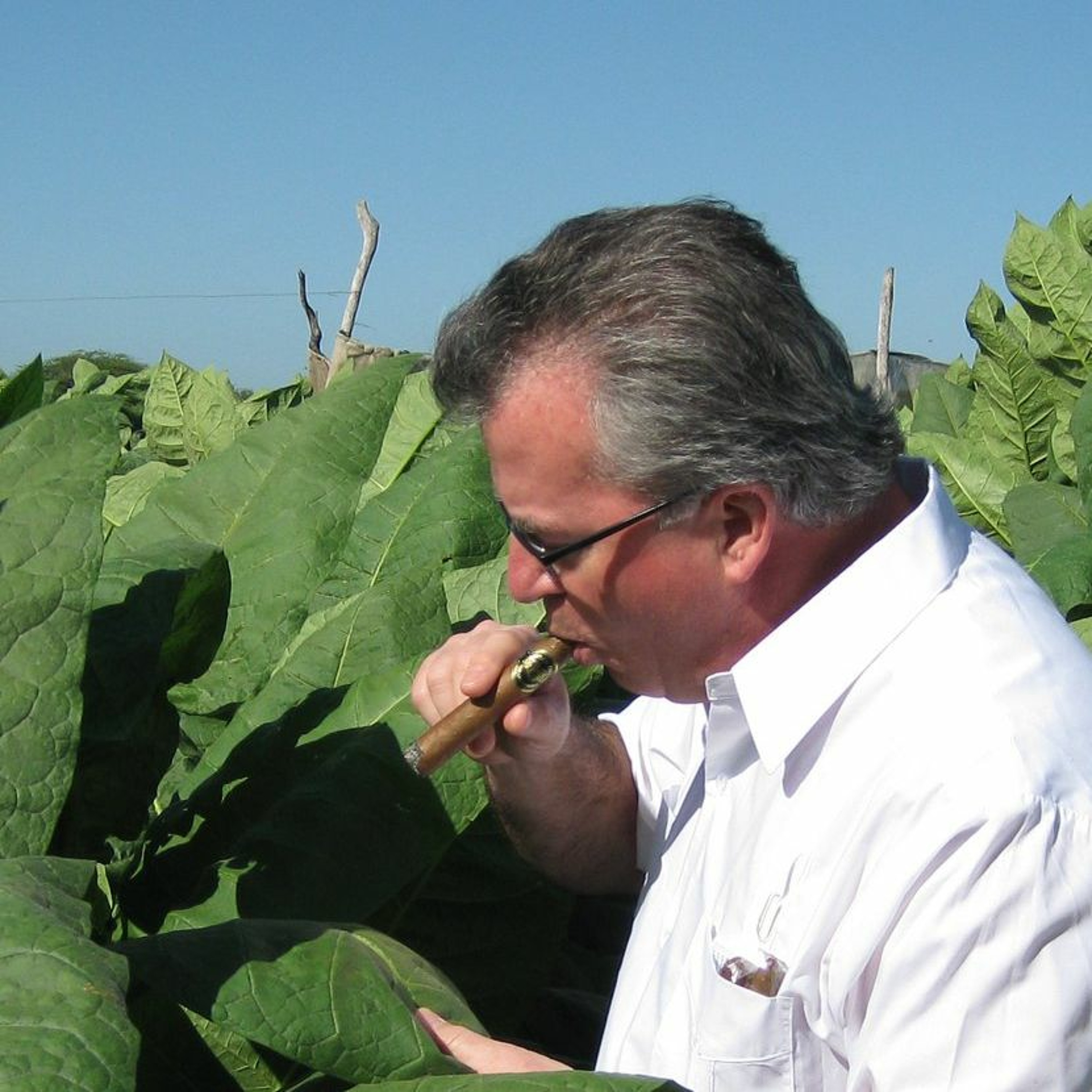 0060 - Brian Chinnock on Chinnock Cellars Cigars, wine and Napa Valley episode artwork