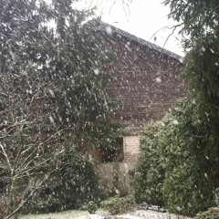 Giedrius Kuprevicius Spring In The Winter 2018