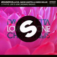 Bougenvilla vs. David Guetta, Chris Willis - Utami vs. Love Is Gone (WeDamnz Mashup)