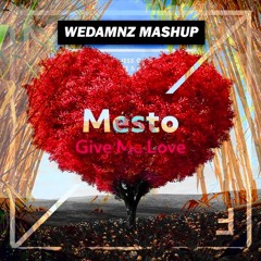 Mesto vs. Rudimental ft. Jess Glynne, Macklemore - Give Me Love vs. These Days (WeDamnz Mashup)