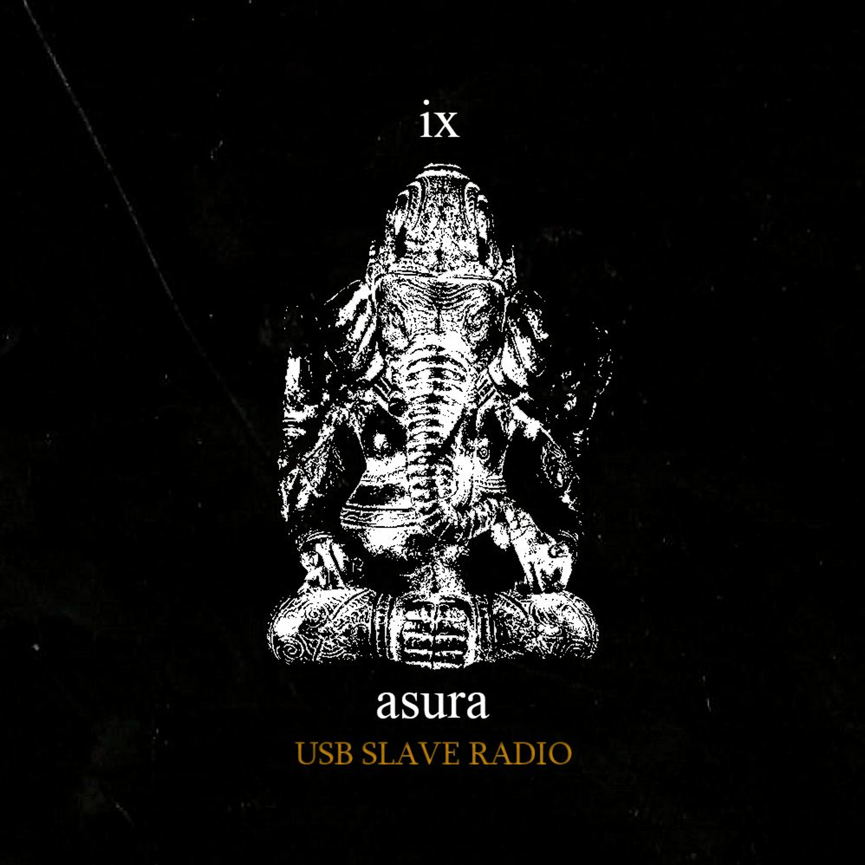 USB sLAve Radio