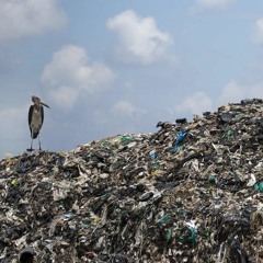 Feo Krispi - Dat Money Prod By Tahir G