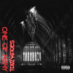 Down Points(Produced by Sean Teej)