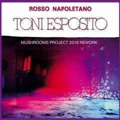 PREMIERE : Tony Esposito - Rosso Napoletano (Mushrooms Project 2018 Rework)