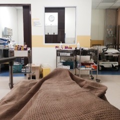 serotonin [draft taie]