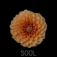 Soul
