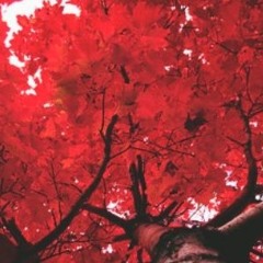 Come thru ft BadLuckKid🔮