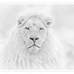 Calling My Spirit Fre$hmix