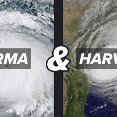 All Blood's One Blood DDD