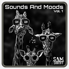 Sounds And Moods Vol.1 (Trippy Melodic Groove)