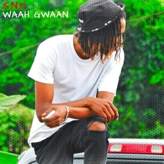 S.N.O, waah gwaan (Official Audio)