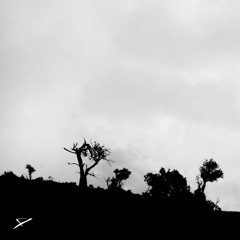 Searching