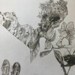 swordtails (full band, demo)