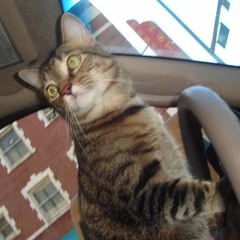 Dagan Breaks 3 - 30 - 05