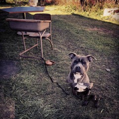 C.L.E Ft. Cabin In The Woods