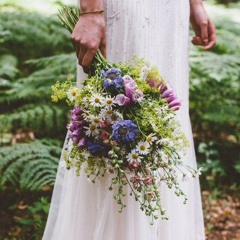 Sebuah hutan dna unggun api. -AdinataGus