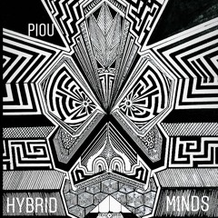 Hybrid Minds