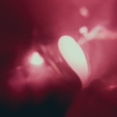 coalesce SIDE B [tape]