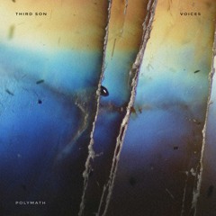 Cognitive Dissonance (Original mix)