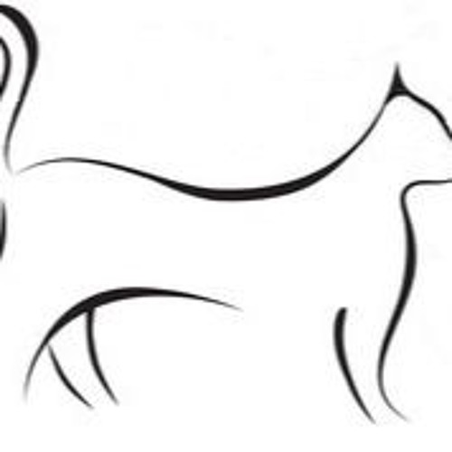 Perserkatze 135 eM