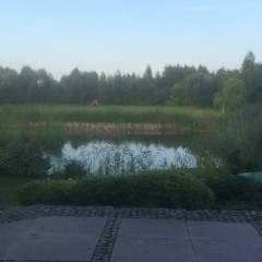 Half As Good As You (Rough Demo) 2018