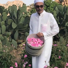 مجنونها ـ بدر بن عبد المحسن