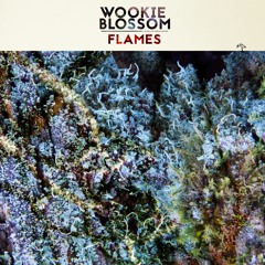 Wookie & Blossom - Flames