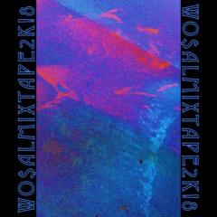 WO$ALMIXTAPE2K!8