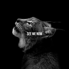 See Me Now