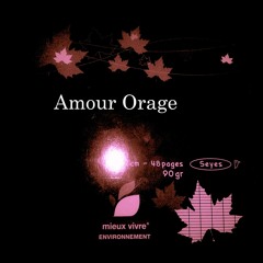 Amour Orage - Instru. Tundra Beats