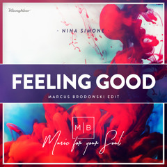 Nina Simone - Feeling Good ( Marcus Brodowski Edit )
