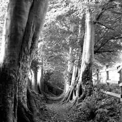 Found A Way Out (Extended) <final>