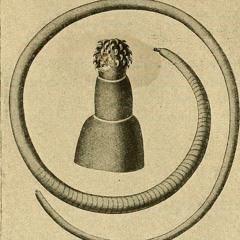 Guru Meditation #0000010x.48454C50