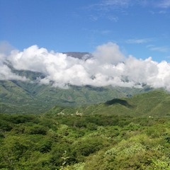 Tropical sounds, Colombia