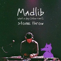 Madlib What a Day [slow sound.]