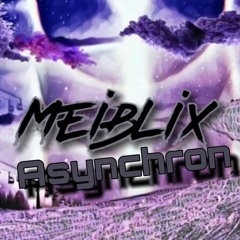MEiBLix & Asynchron - NN 209 Prv