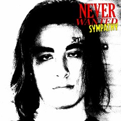 Never Wanted Sympathy (+ Ryini)